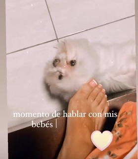 Tula Rodríguez feet photo 3