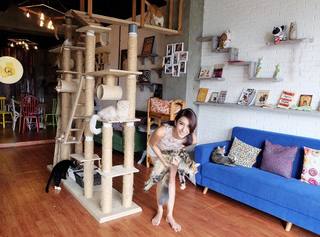 Tyas Mirasih feet photo 2