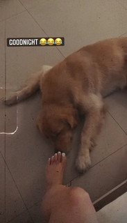 Uditi Singh feet photo 13