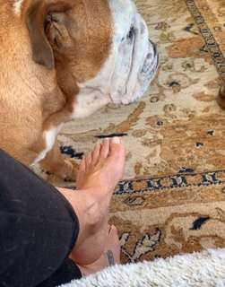 Ulrika Jonsson feet photo 6