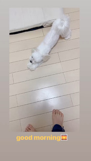 Umika Kawashima feet photo 12
