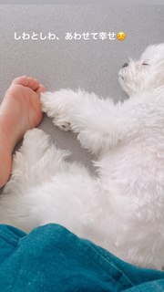 Umika Kawashima feet photo 1