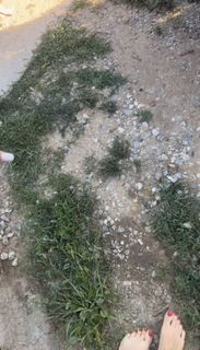 Una Kablar-UKI-Q feet photo thumbnail