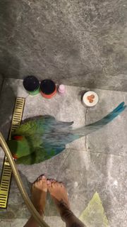 Una Kablar-UKI-Q feet photo 1