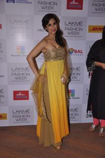 Urmila Matondkar feet photo thumbnail