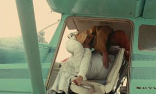 Ursula Andress feet photo thumbnail