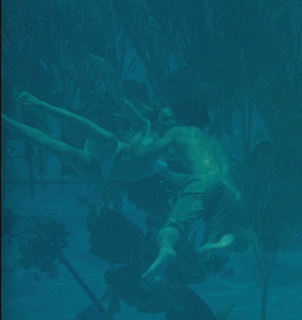 Ursula Andress feet photo thumbnail