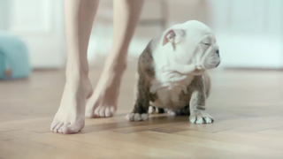 Urszula Debska feet photo 13