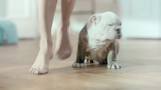 Urszula Debska feet photo 12