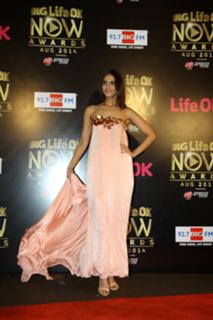 Vaani Kapoor feet photo thumbnail