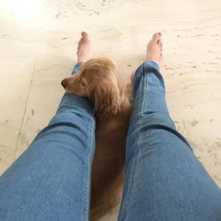 Vaishnavi Rao feet photo 5