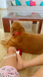 Vaishnavi Rao feet photo 17