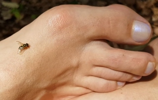 Vajra Tekpreet Kaur feet photo thumbnail