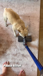 Valentina Ferragni feet photo thumbnail