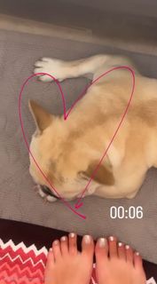 Valentina Ferragni feet photo thumbnail