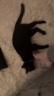 Valentina Fradegrada feet photo thumbnail