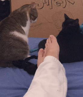 Valentina Pegorer feet photo 6
