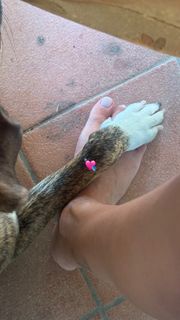 Valentina Pegorer feet photo 11