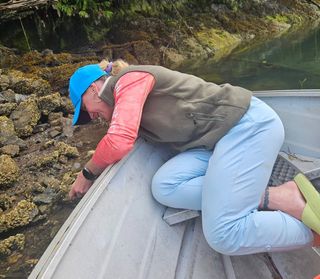 Valentina Shevchenko feet photo thumbnail