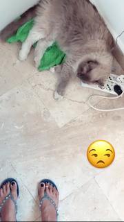Valentina Vignali feet photo thumbnail