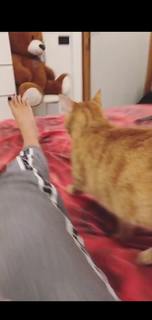 Valentina Vignali feet photo thumbnail