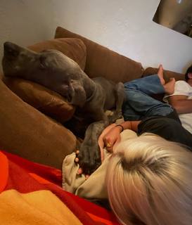 Valentina Zenere feet photo thumbnail