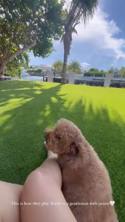 Valeria Orsini feet photo 14