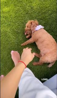 Valeria Orsini feet photo 6