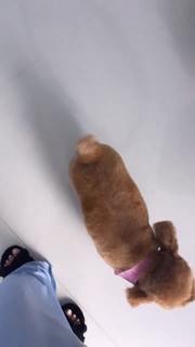 Valeria Orsini feet photo 14