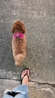 Valerie Stup feet photo 15