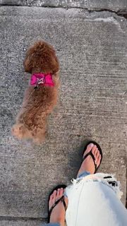 Valerie Stup feet photo 14