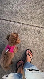 Valerie Stup feet photo 13