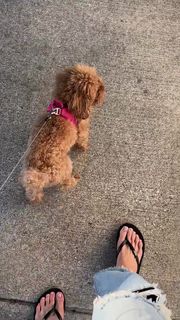 Valerie Stup feet photo 12