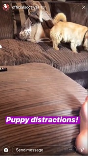 Valerie Wyndham feet photo thumbnail