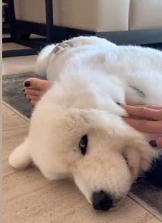 Valerie Wyndham feet photo thumbnail