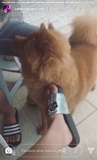 Valesca Popozuda feet photo 16