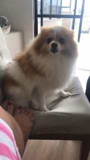 Valesca Popozuda feet photo 9