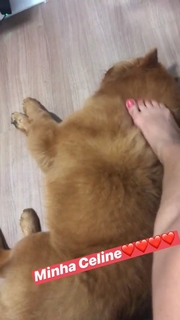 Valesca Popozuda feet photo 1