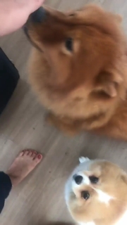 Valesca Popozuda feet photo 5