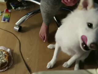 Valkyrae feet photo thumbnail