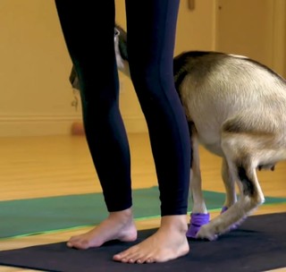 Valkyrae feet photo thumbnail
