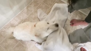 Valkyrae feet photo thumbnail