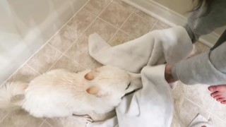 Valkyrae feet photo thumbnail
