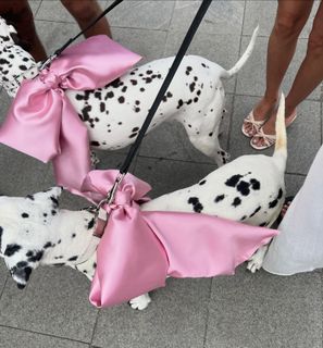 Valya Karnaval feet photo 6