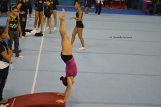 Vanessa Ferrari feet photo thumbnail