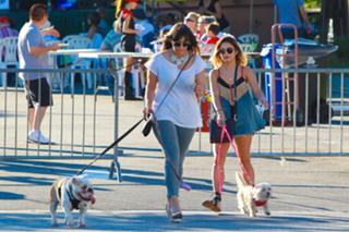 Vanessa Hudgens feet photo thumbnail