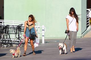 Vanessa Hudgens feet photo thumbnail
