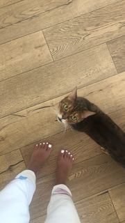 Vanessa Marcil feet photo thumbnail