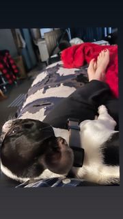 Vanessa Marcil feet photo thumbnail