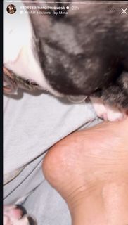 Vanessa Marcil feet photo thumbnail